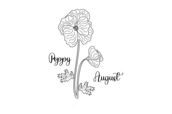 August Poppy Line Art Embroidery